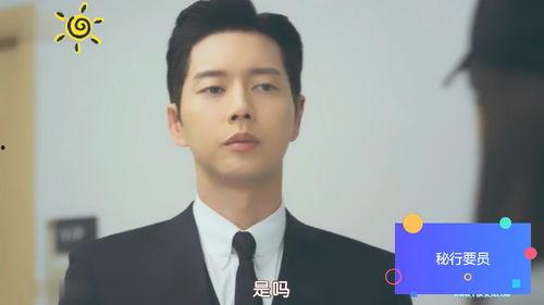 秘行要员在线观看,暗夜行动，揭秘特工世界