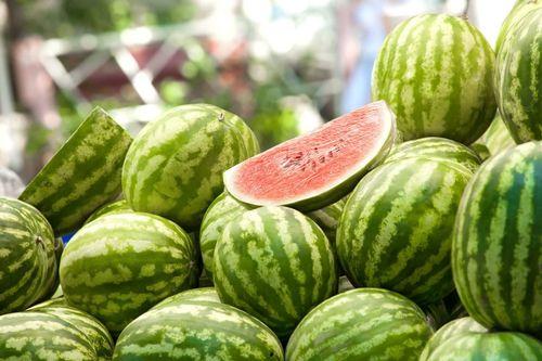 什么社的网红吃瓜网站,热门事件背后的真相与笑料